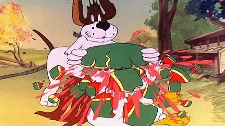 ⁣13 - Walky Talky Hawky