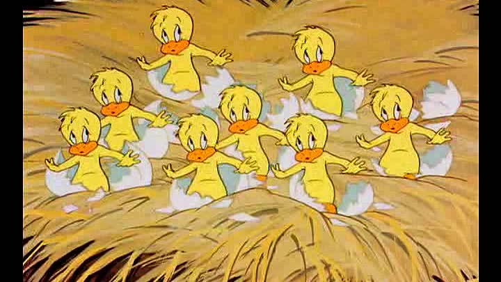 ⁣13 - Booby Hatched