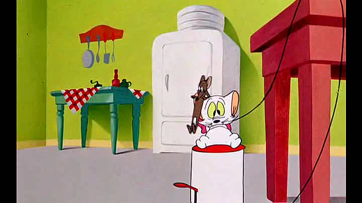 ⁣11 - Kiddin' the Kitten