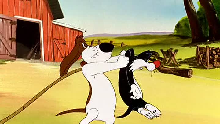 ⁣05 - Crowing Pains