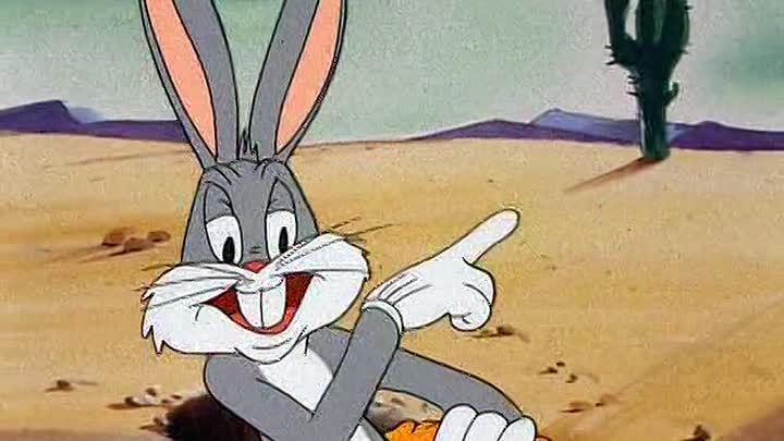 ⁣02 - Buckaroo Bugs