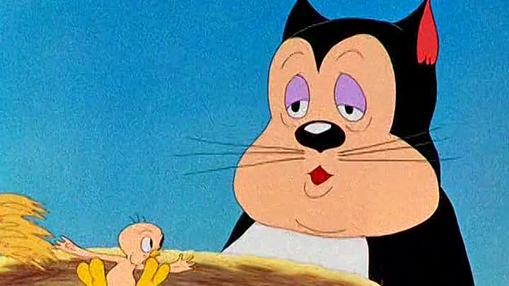 ⁣14 - A Tale of Two Kitties