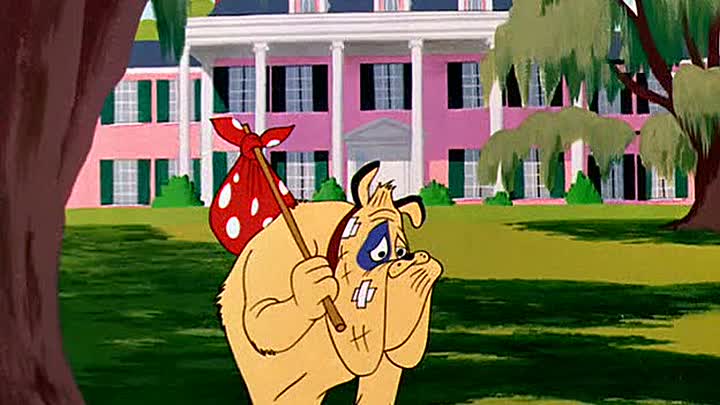 ⁣13 - Dog Gone South