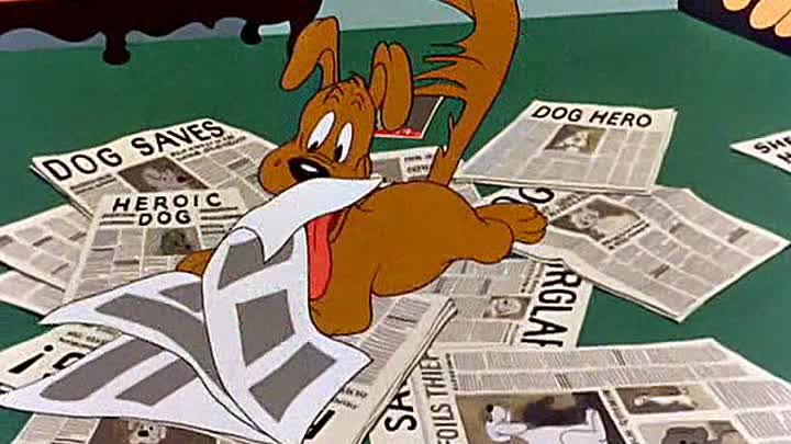 ⁣03 - Fresh Airedale