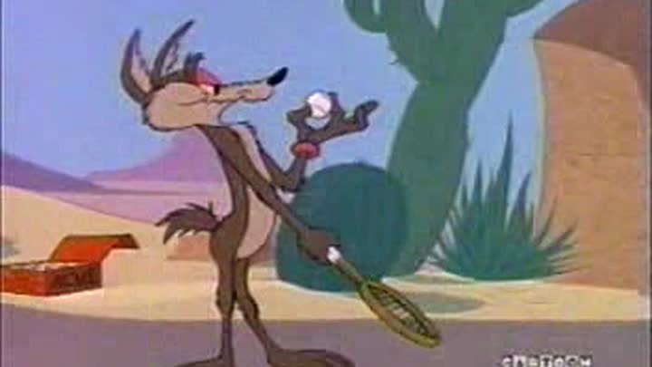 ⁣RoadRunner&WileECoyote-42_SoupOrSonic_19800521_JonesMM