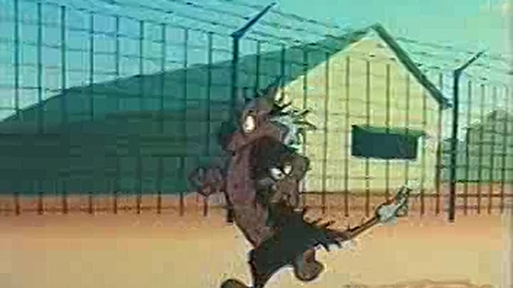 WarnerBros-TheRoadRunnerShow